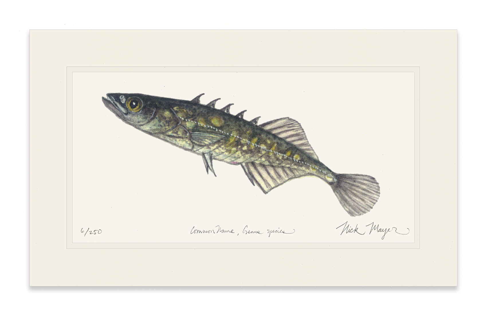 Brook Stickleback Limited Edition Print