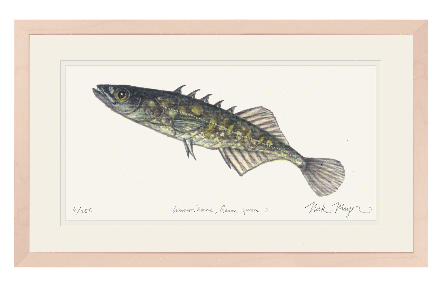 Brook Stickleback Limited Edition Print