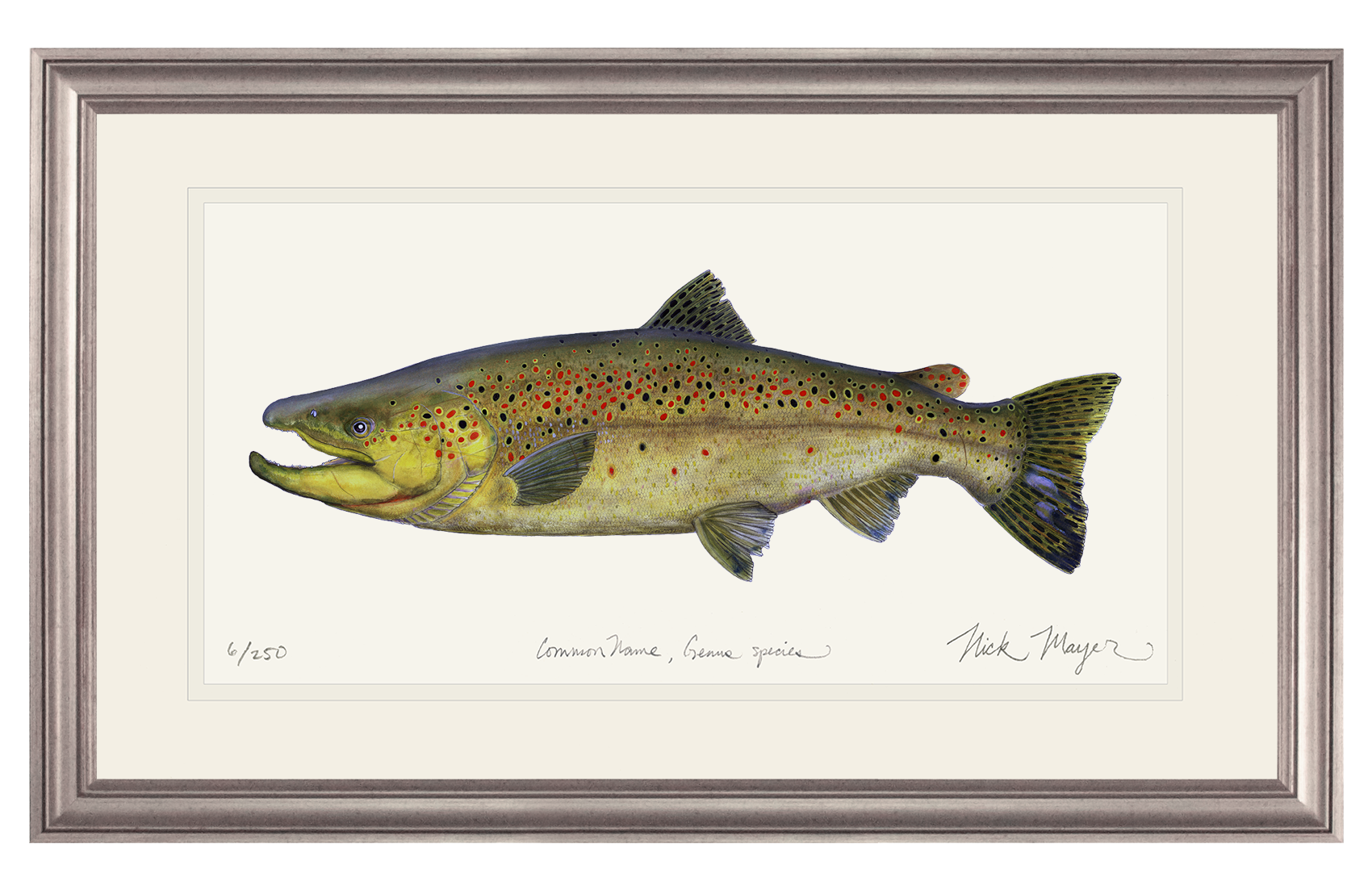 Brown Trout Limited Edition Print