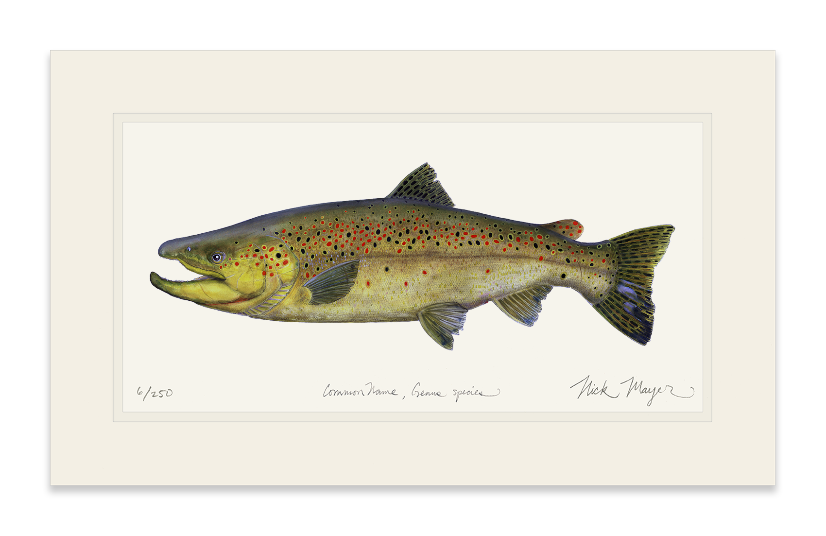 Brown Trout Limited Edition Print