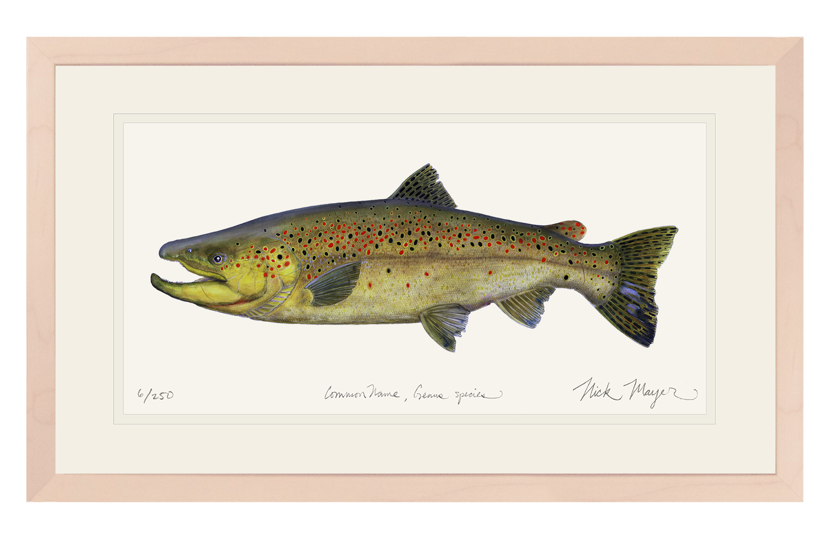 Brown Trout Limited Edition Print