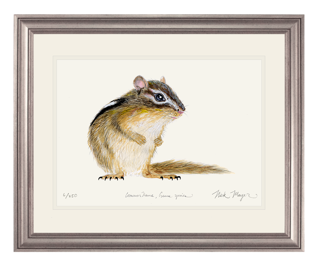 Chipmunk Limited Edition Print