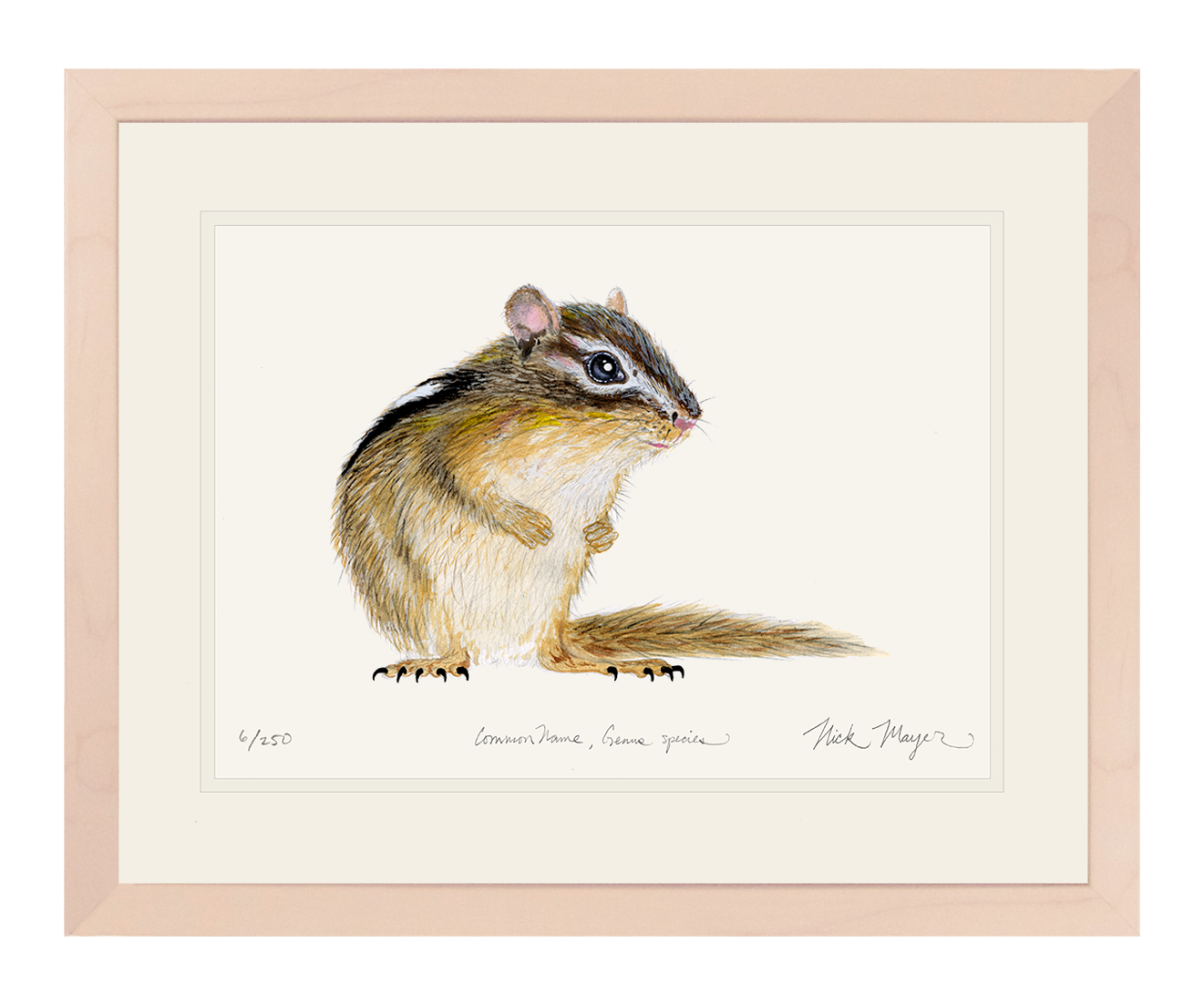 Chipmunk Limited Edition Print