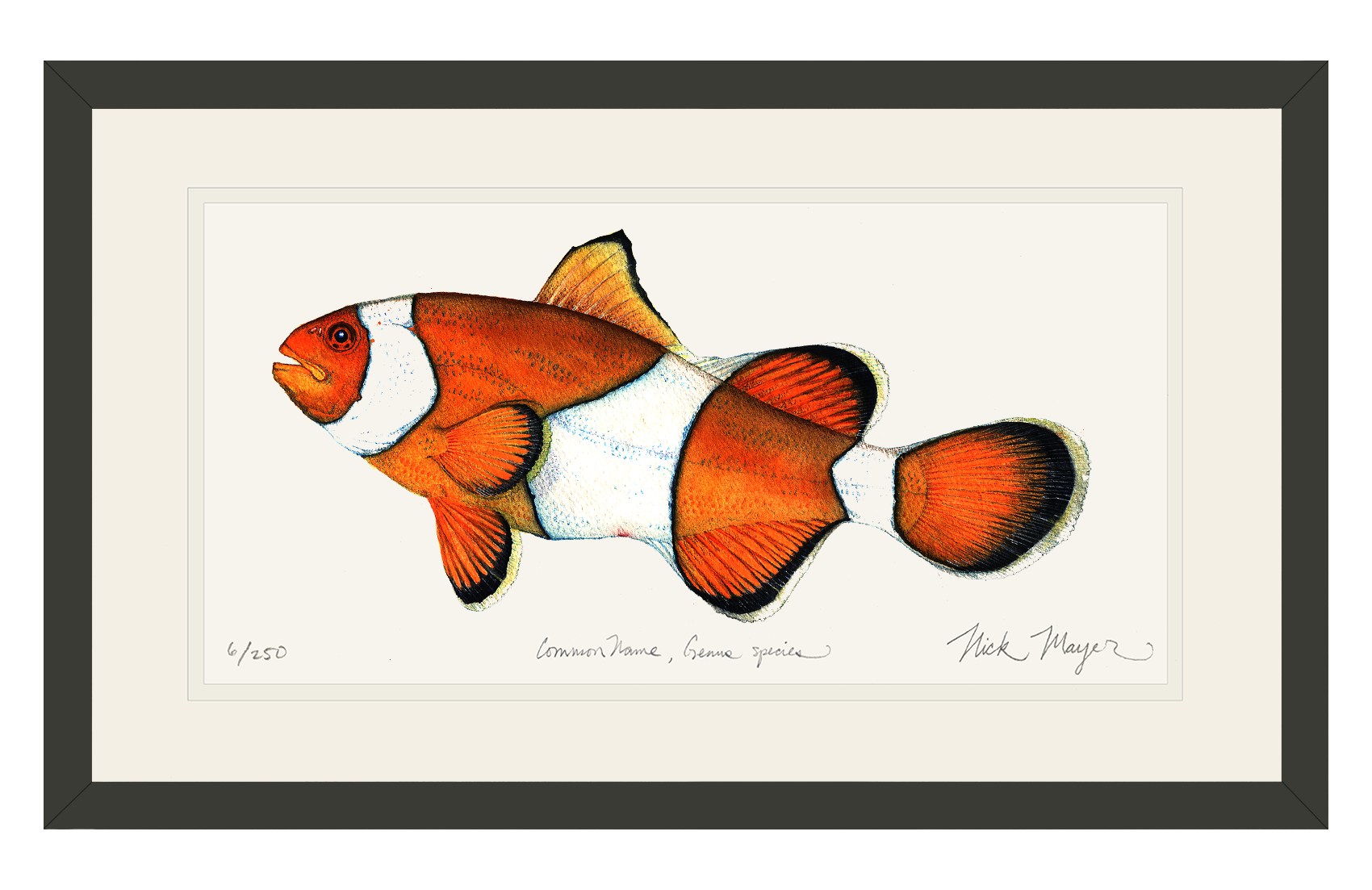 Clownfish Limited Edition Print