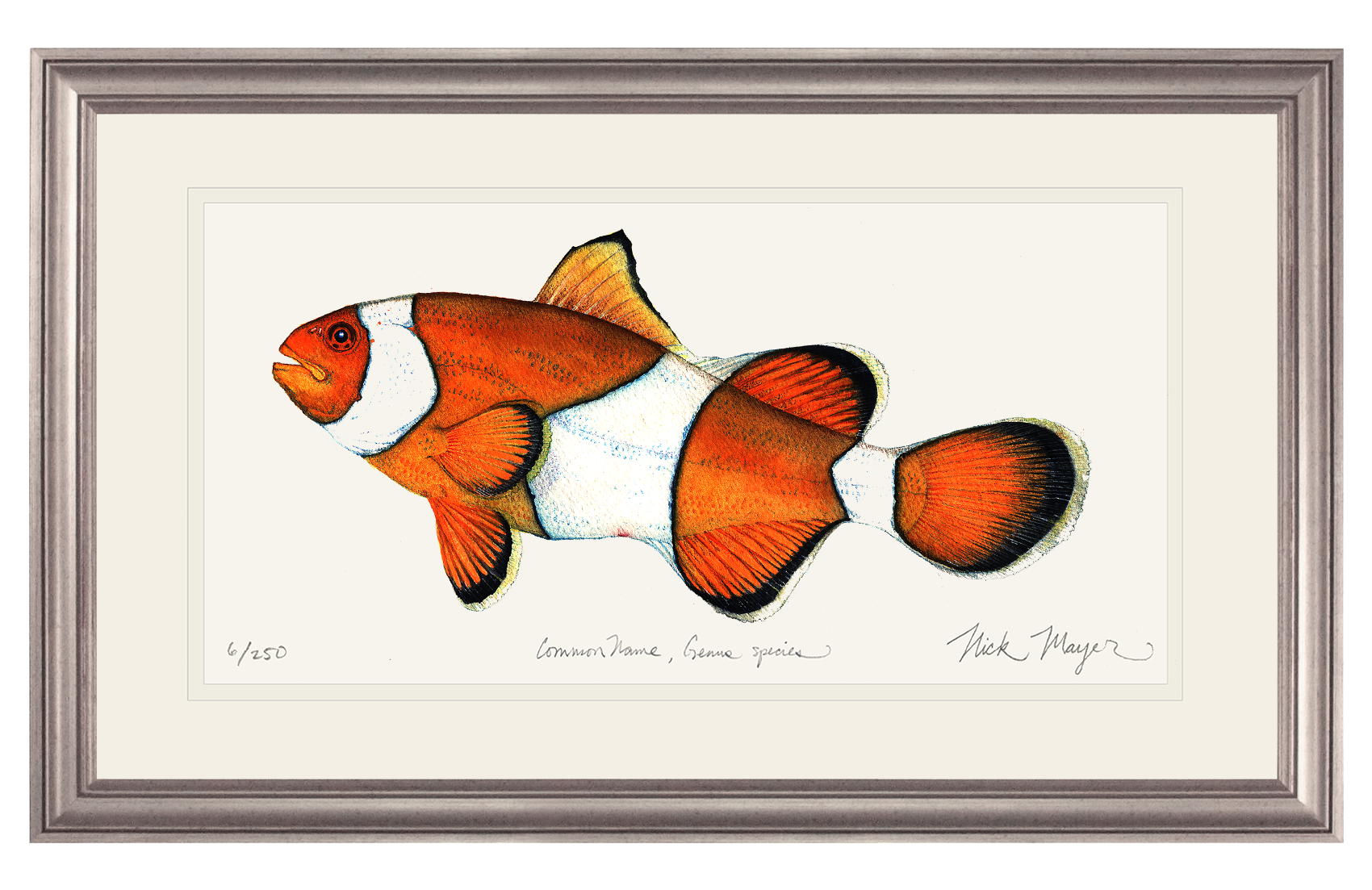 Clownfish Limited Edition Print