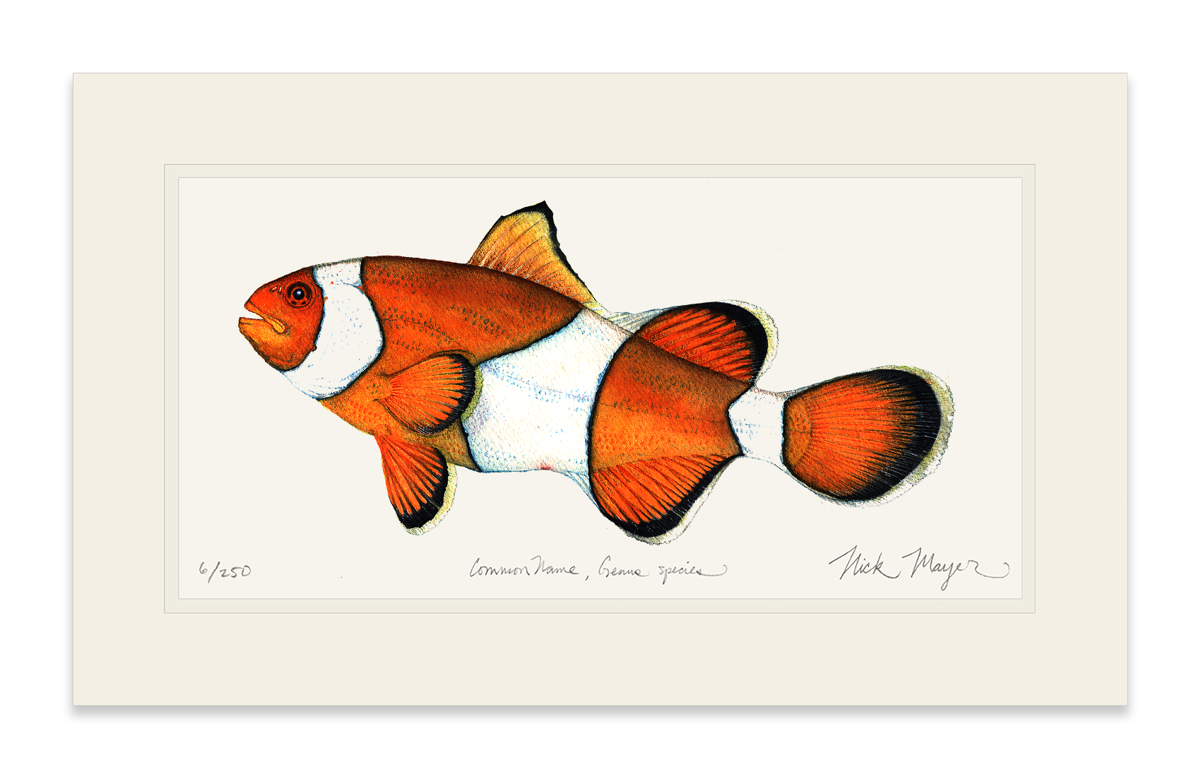 Clownfish Limited Edition Print