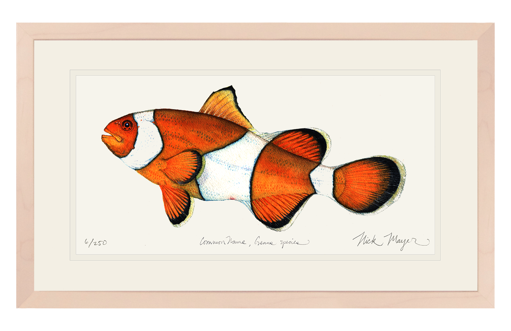 Clownfish Limited Edition Print