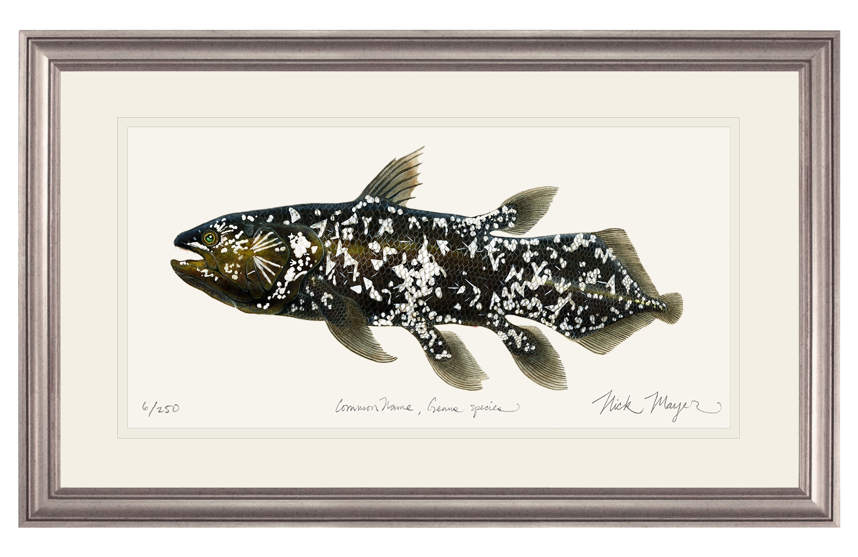 Coelacanth Limited Edition Print