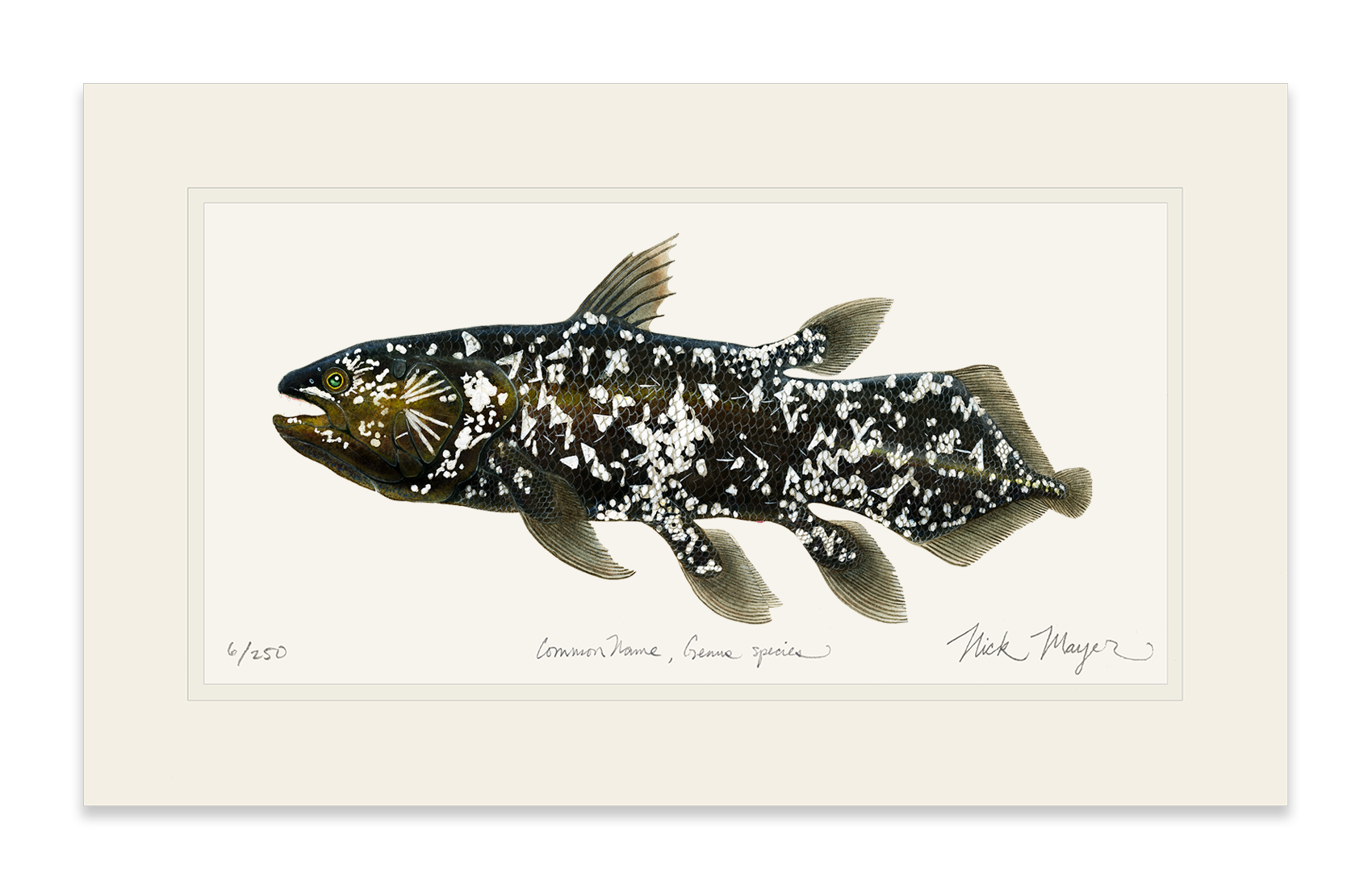 Coelacanth Limited Edition Print