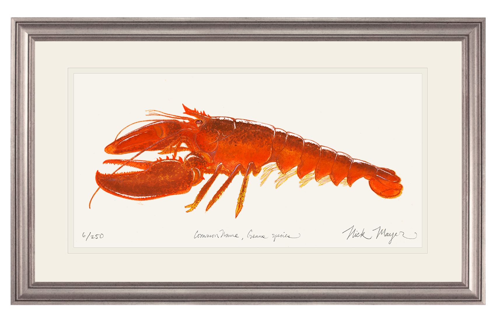 Cooked Lobster II Limited Edition Print