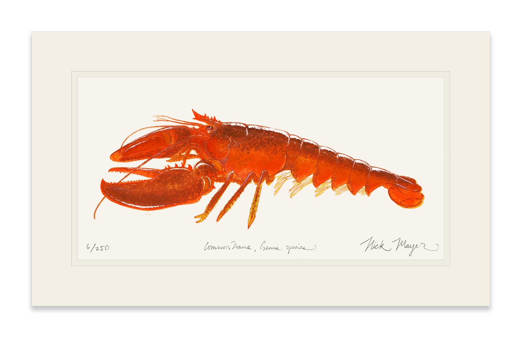 Cooked Lobster II Limited Edition Print