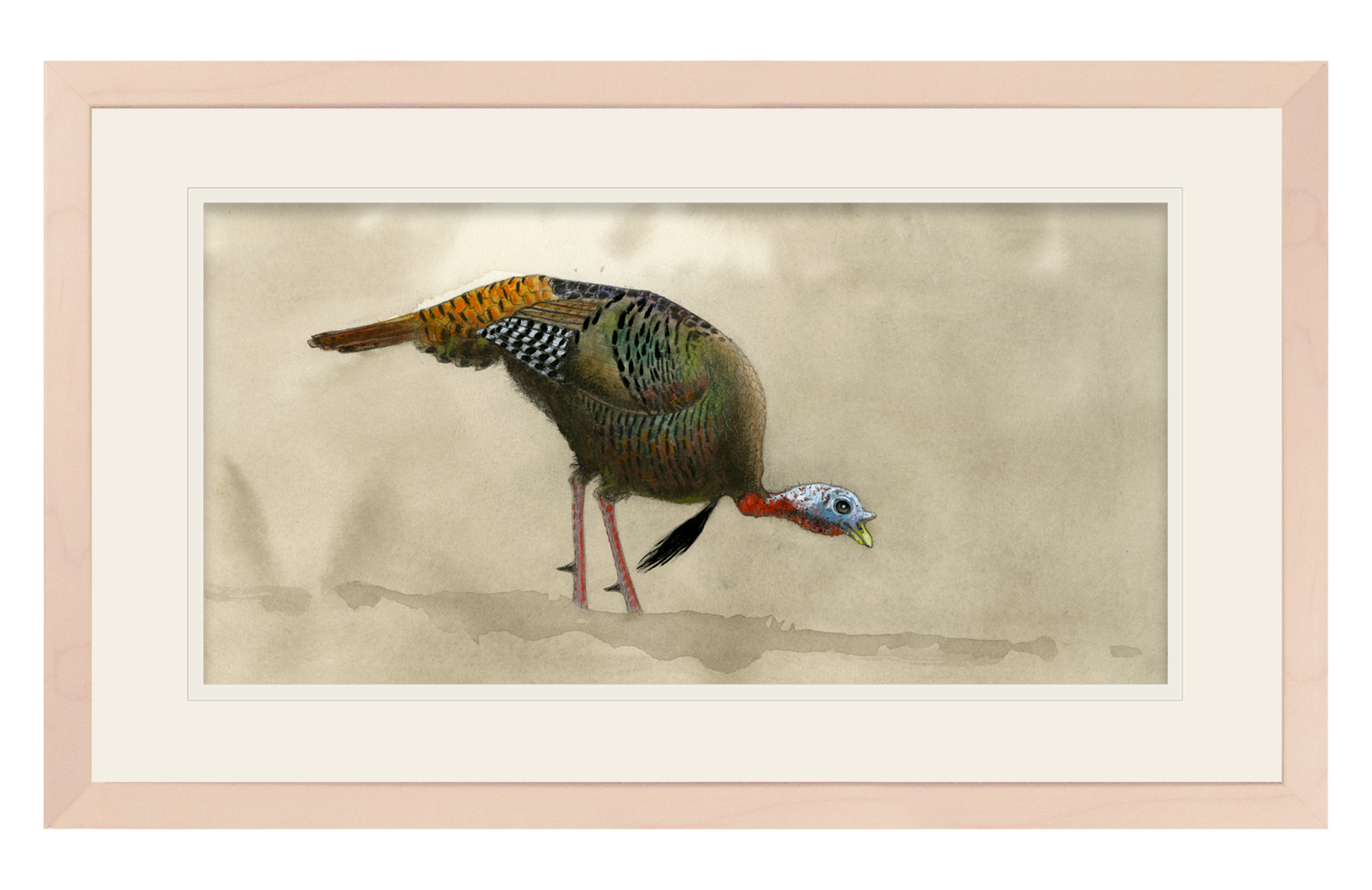 Feeding Tom Turkey Limited Edition Print