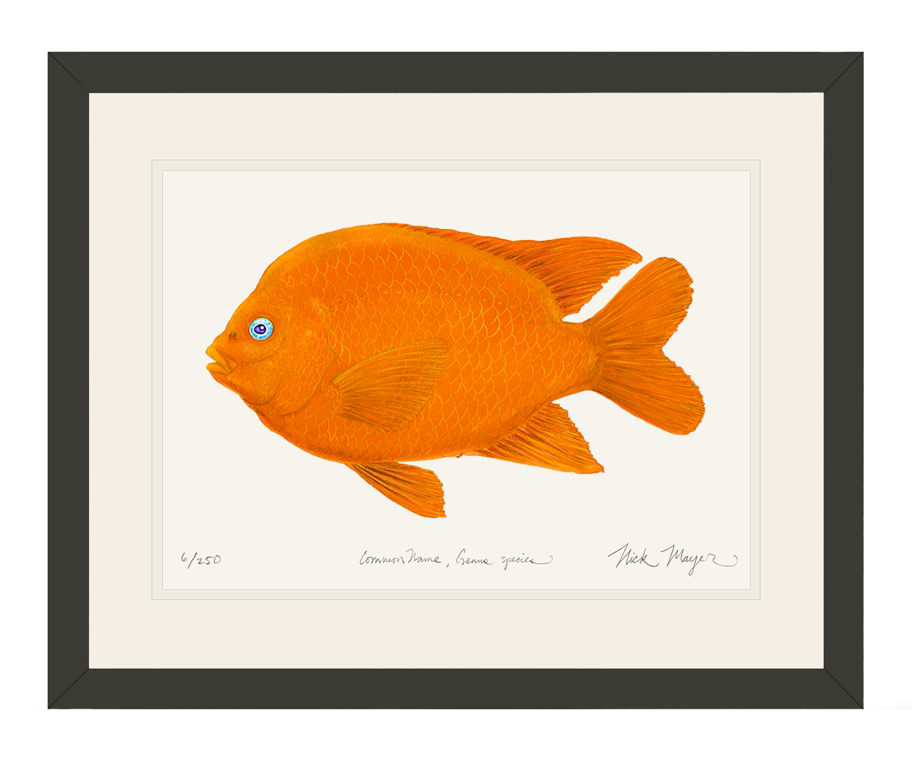 Garibaldi I Limited Edition Print