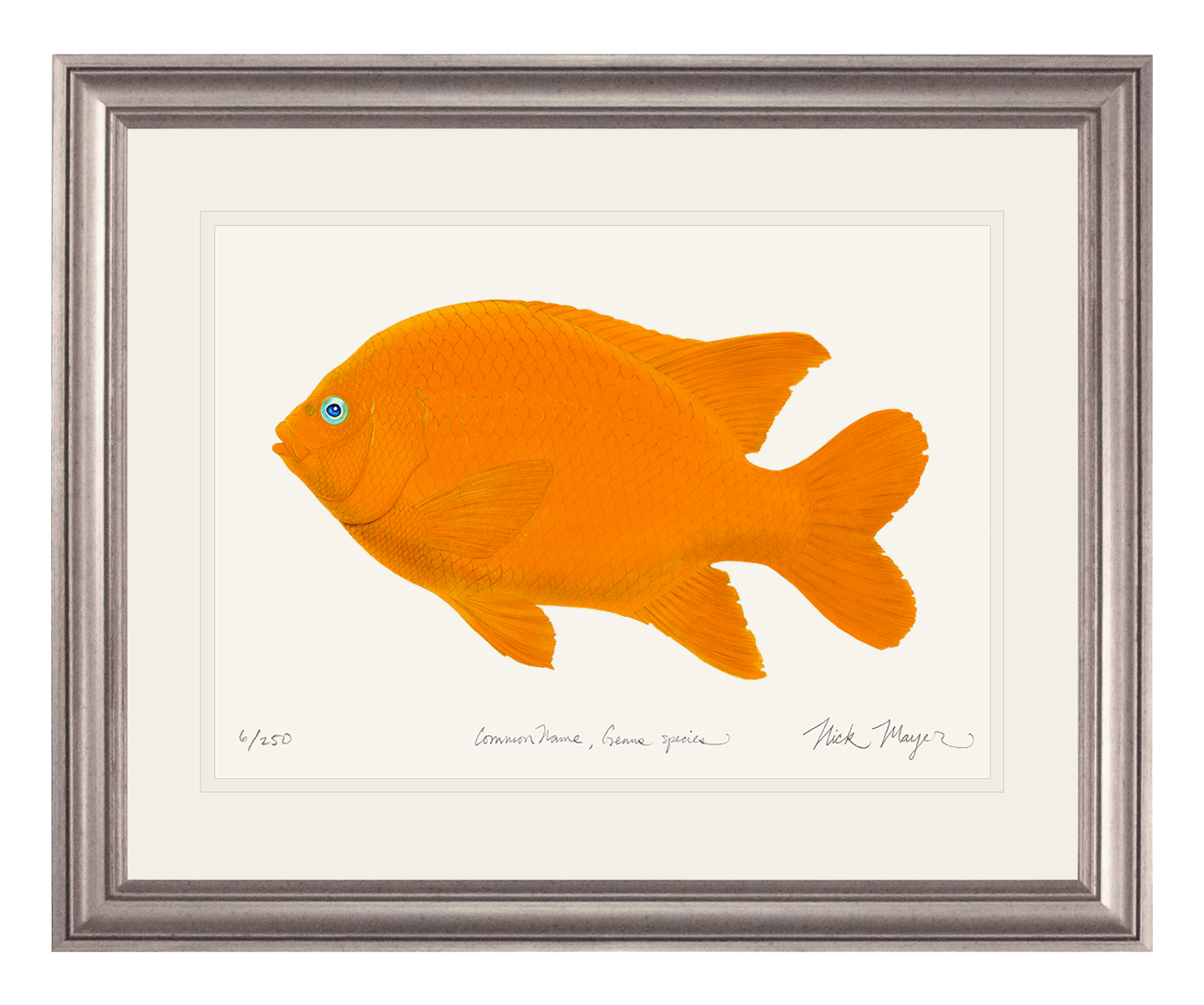 Garibaldi II Limited Edition Print