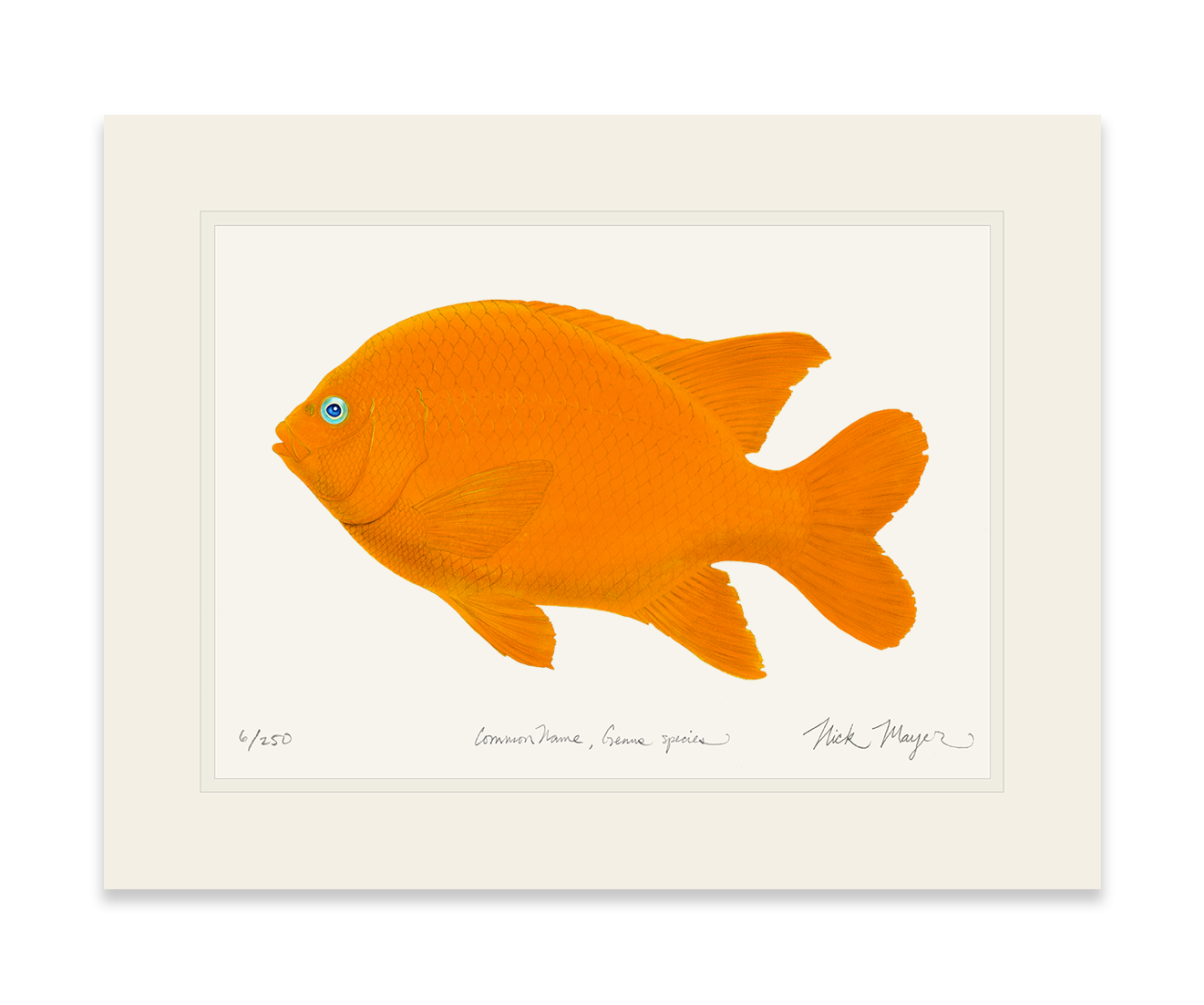 Garibaldi II Limited Edition Print