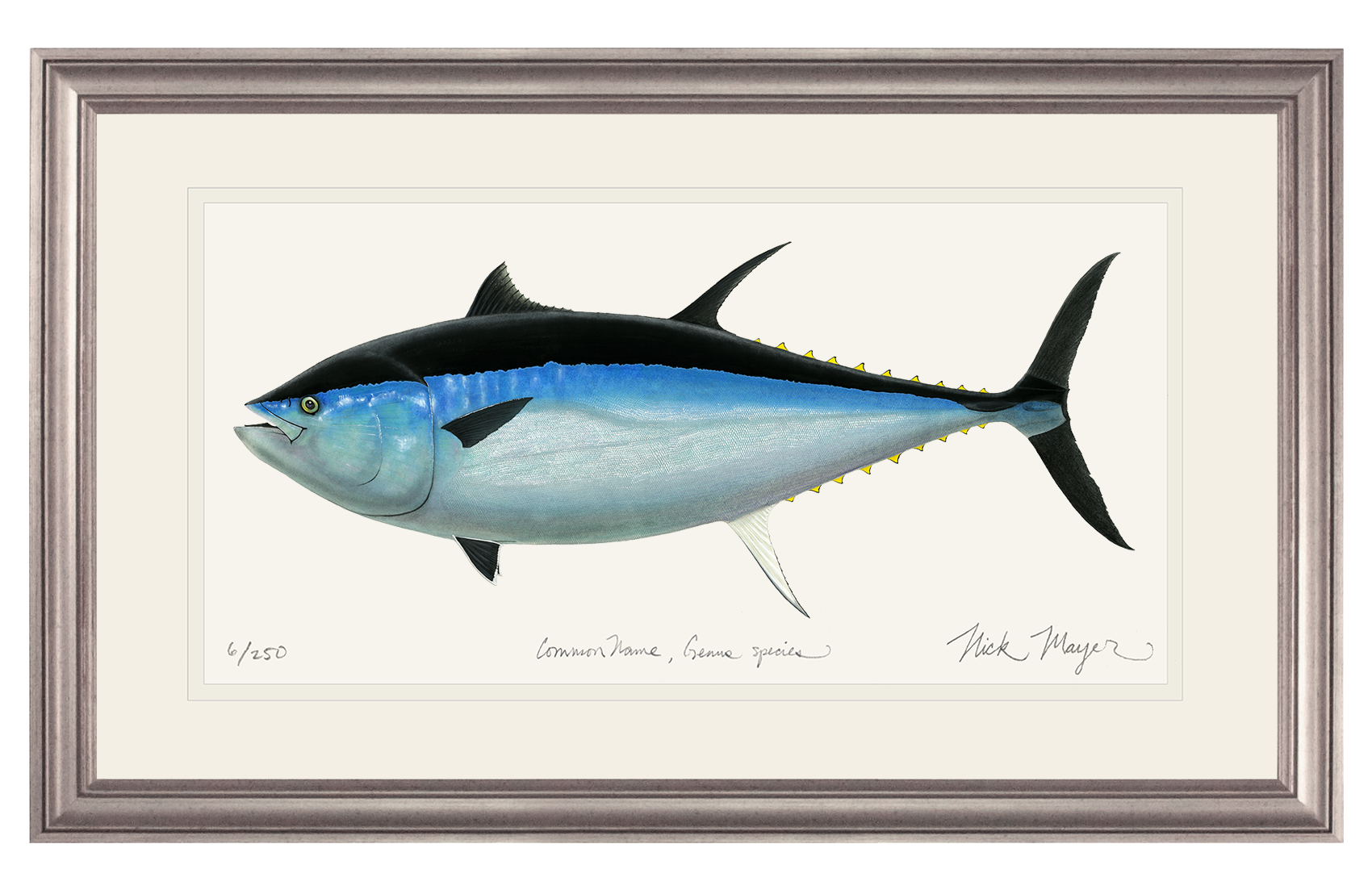 Giant Bluefin Tuna III Limited Edition Print