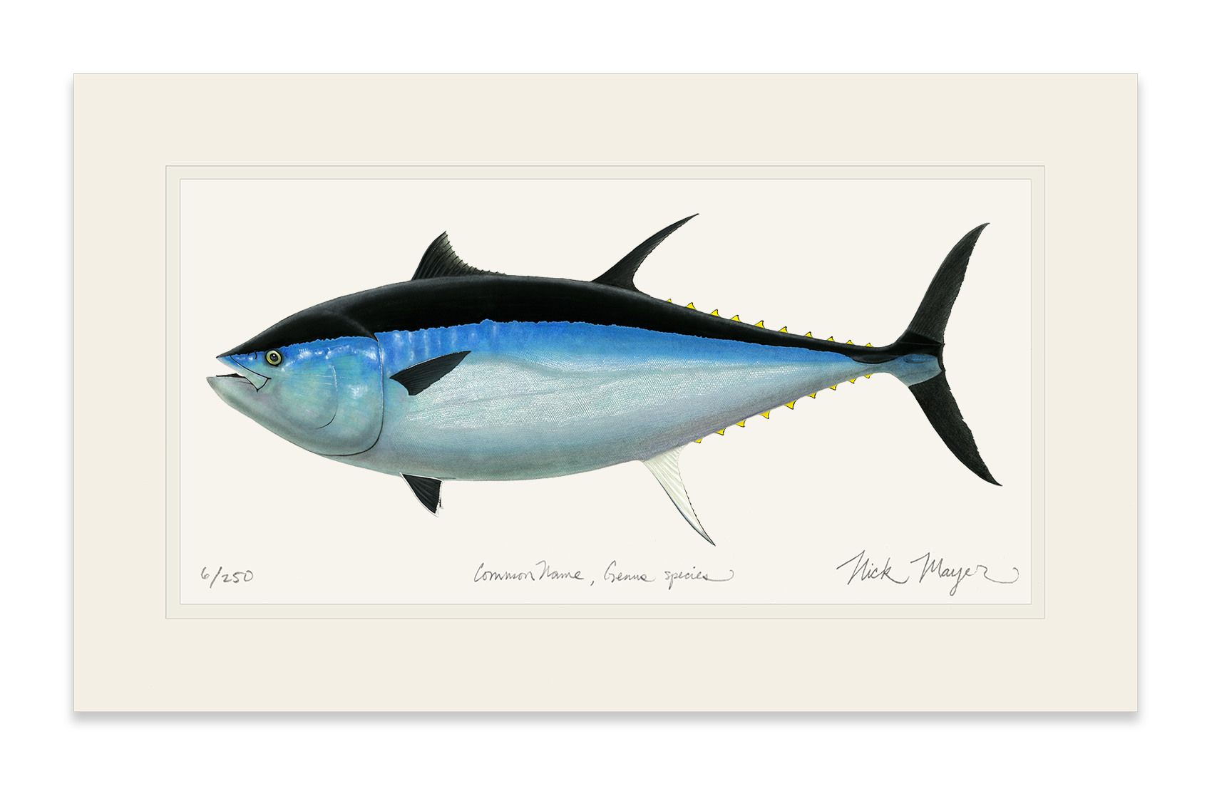 Giant Bluefin Tuna III Limited Edition Print