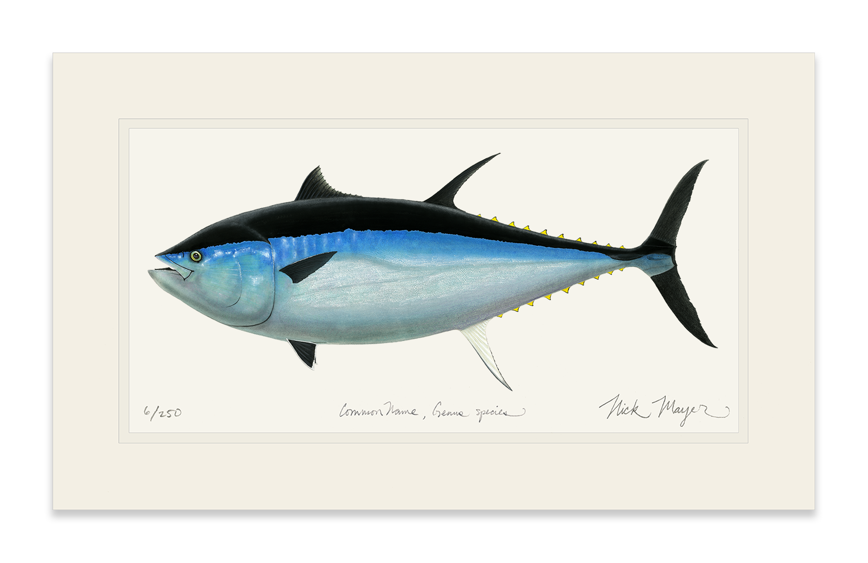 world record bluefin tuna price