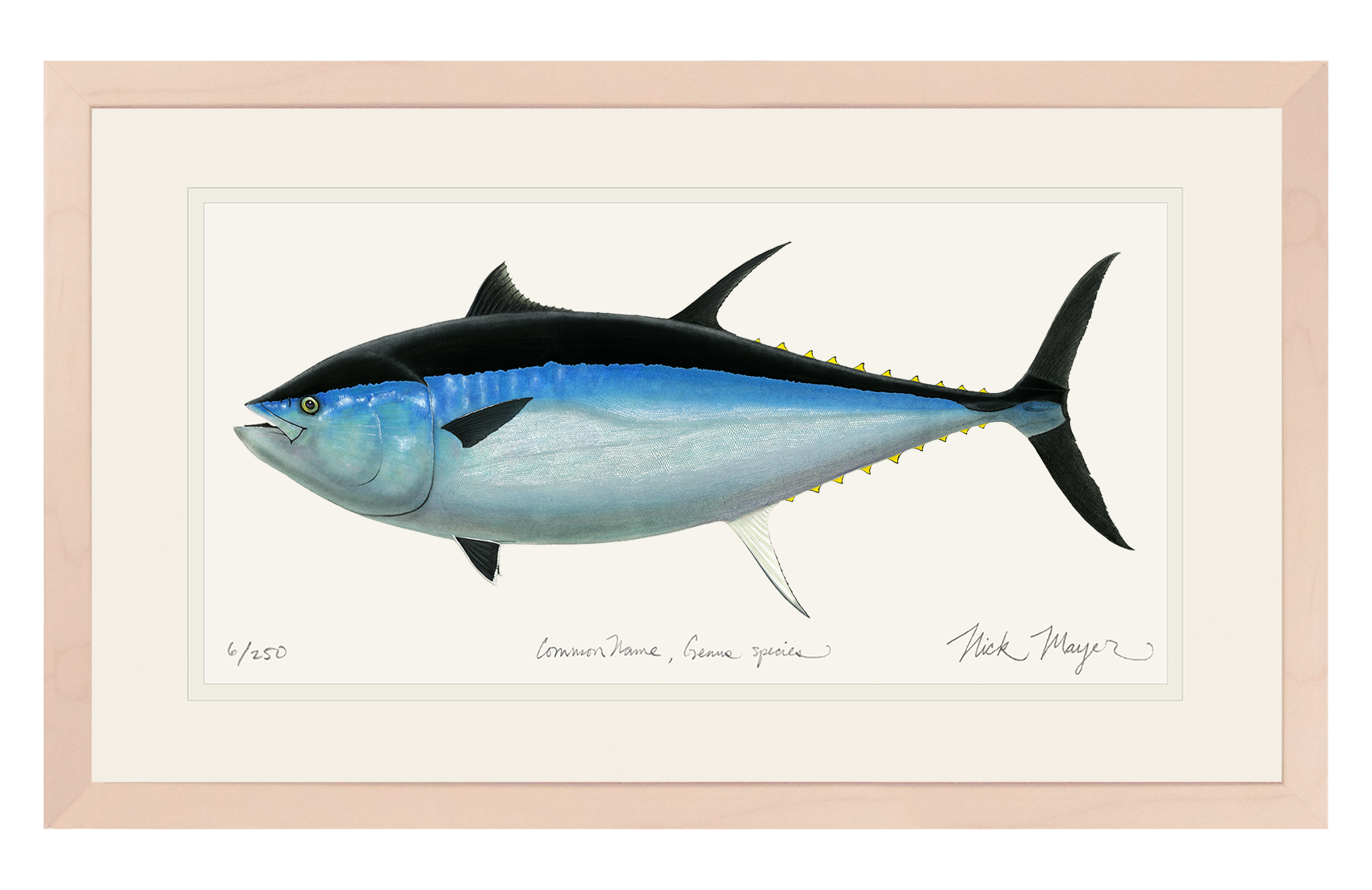 Giant Bluefin Tuna III Limited Edition Print