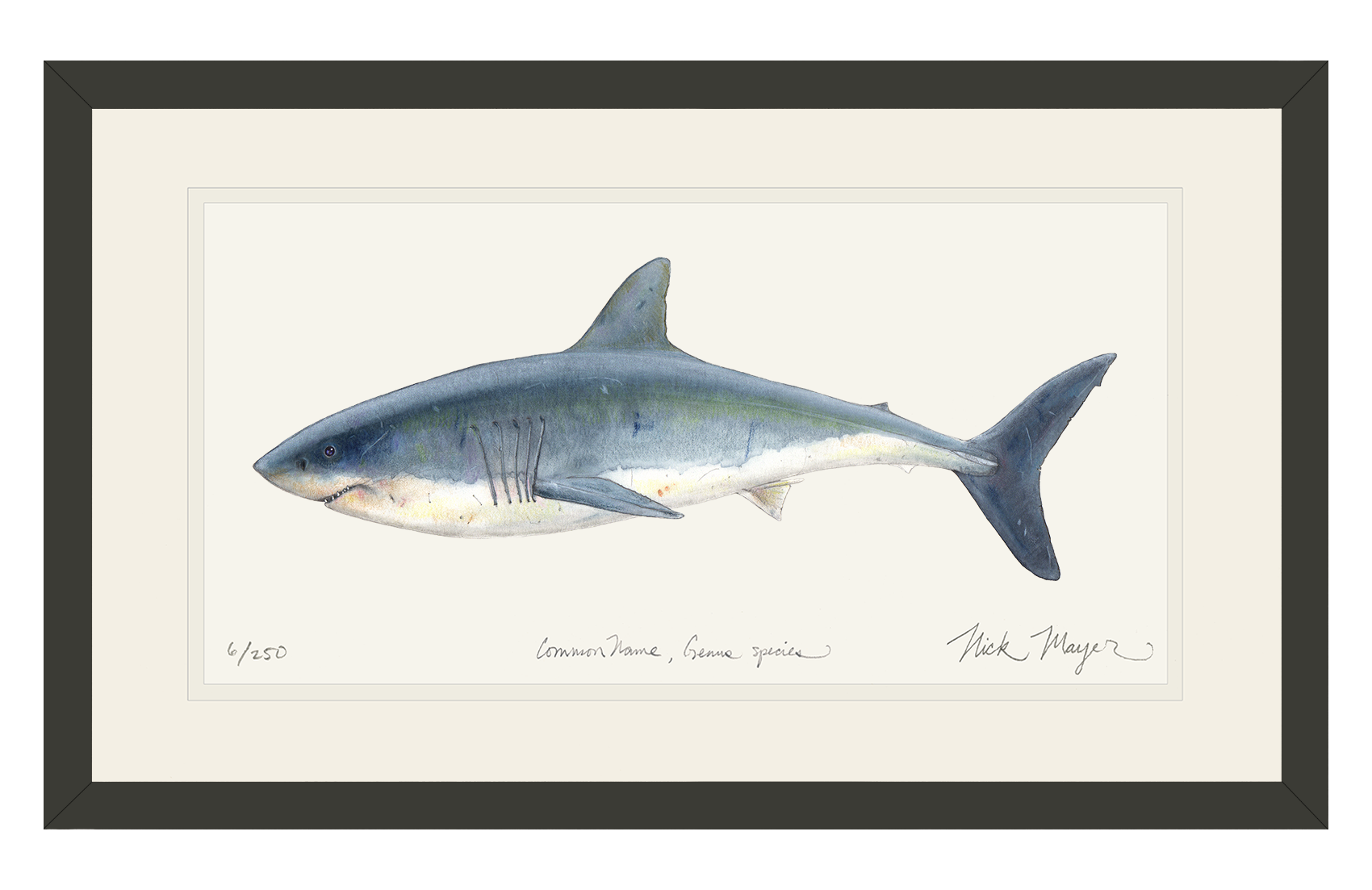 Great White Shark Limited Edition Print