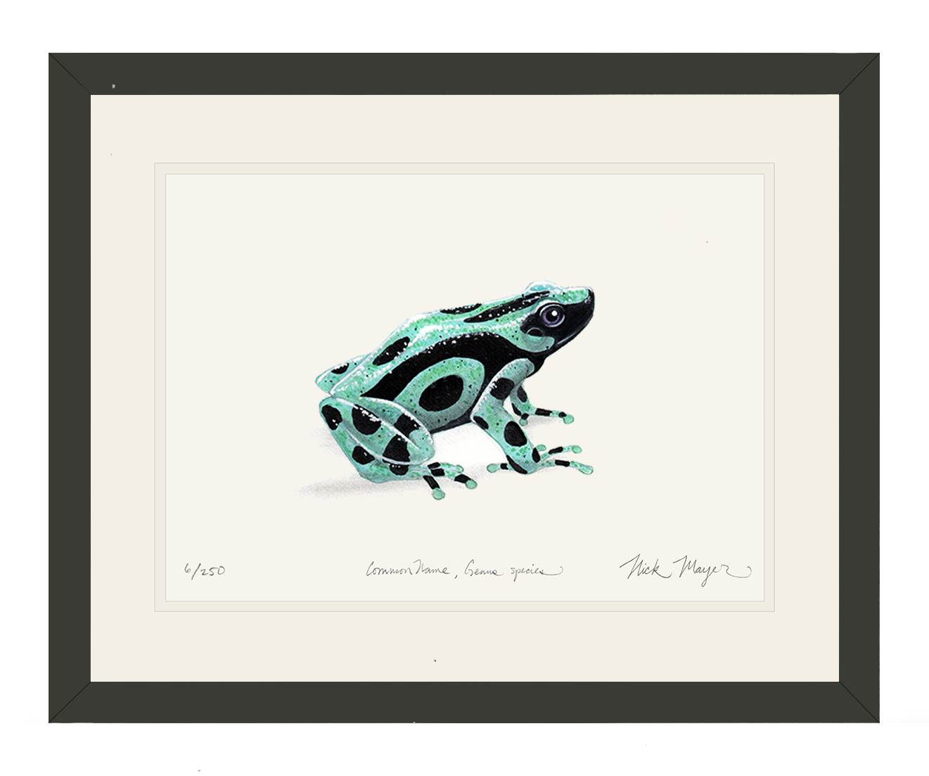 Green and Black Poison Dart Frog Limited Edition Print