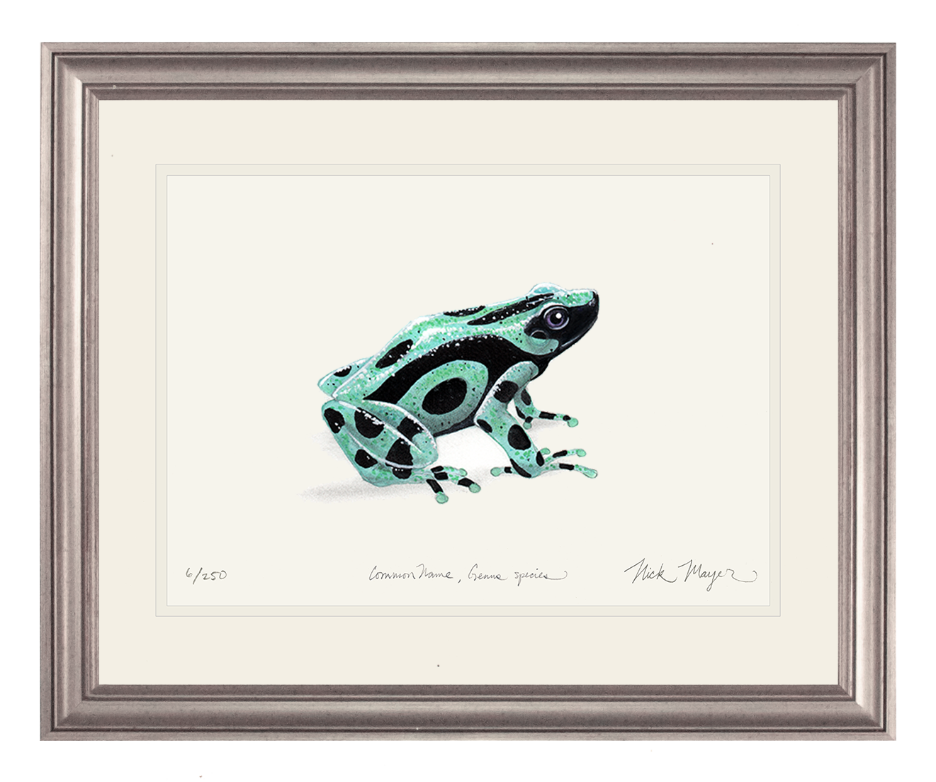 Green and Black Poison Dart Frog Limited Edition Print