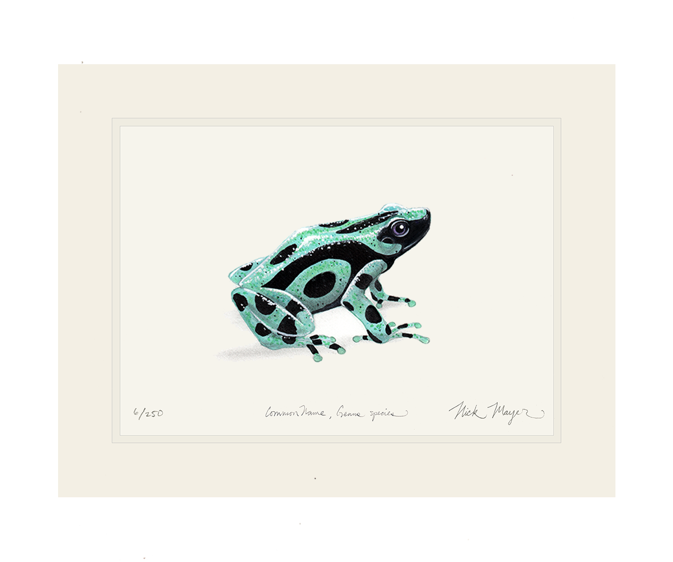 Green and Black Poison Dart Frog Limited Edition Print