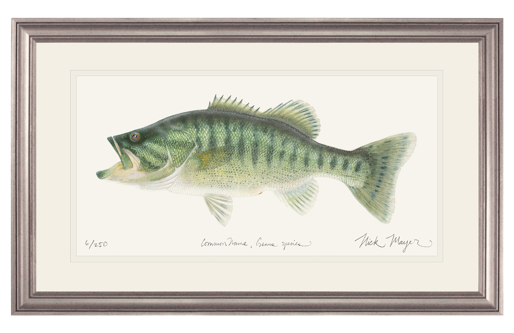 Guadalupe Bass Limited Edition Print