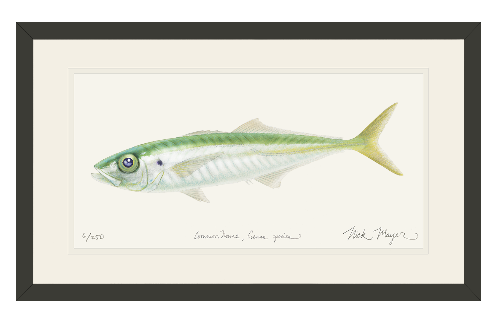 Jack Mackerel Limited Edition Print