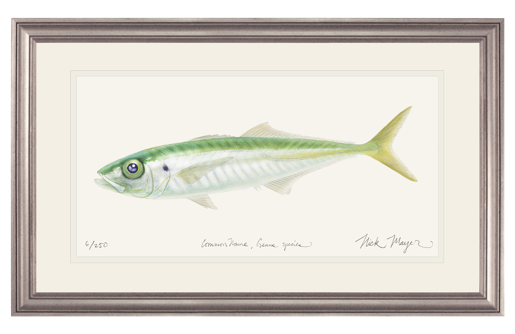 Jack Mackerel Limited Edition Print