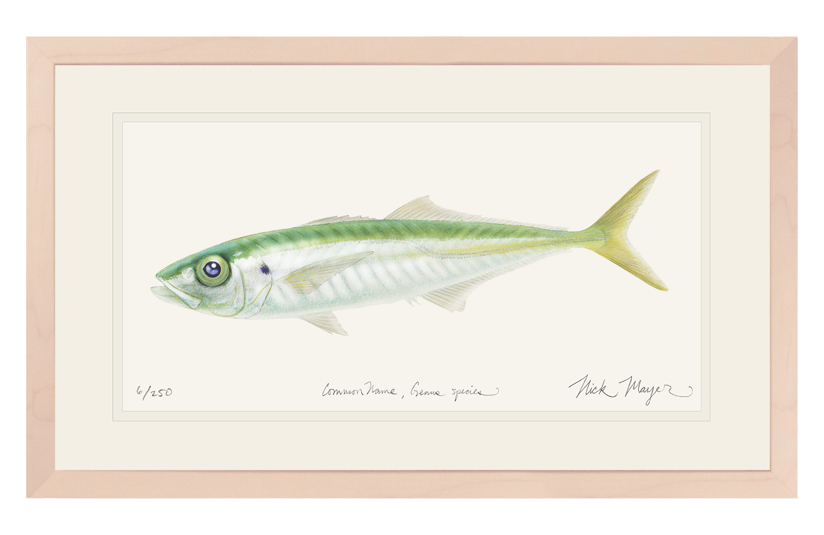 Jack Mackerel Limited Edition Print