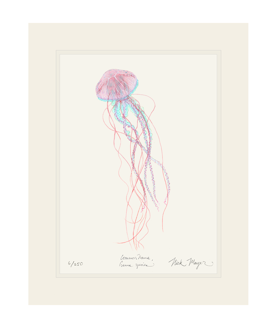 Pink Jellyfish Print