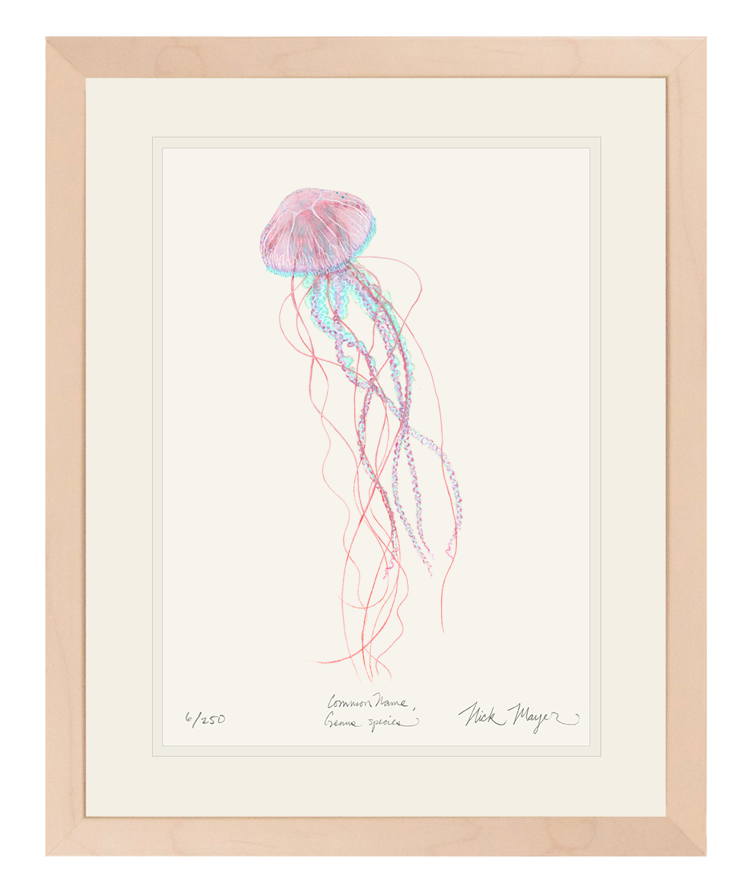 Pink Jellyfish Print