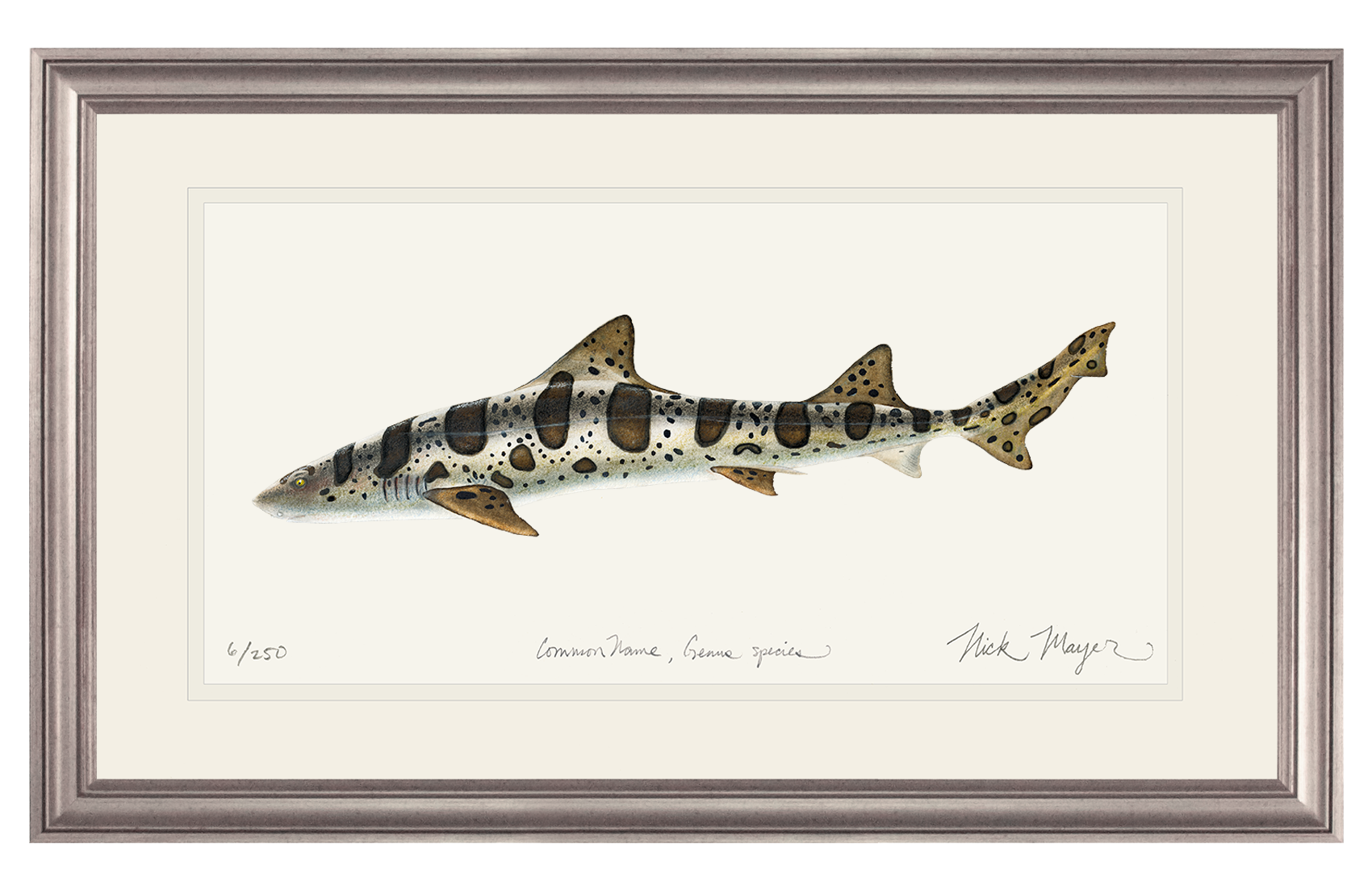 Leopard Shark Limited Edition Print