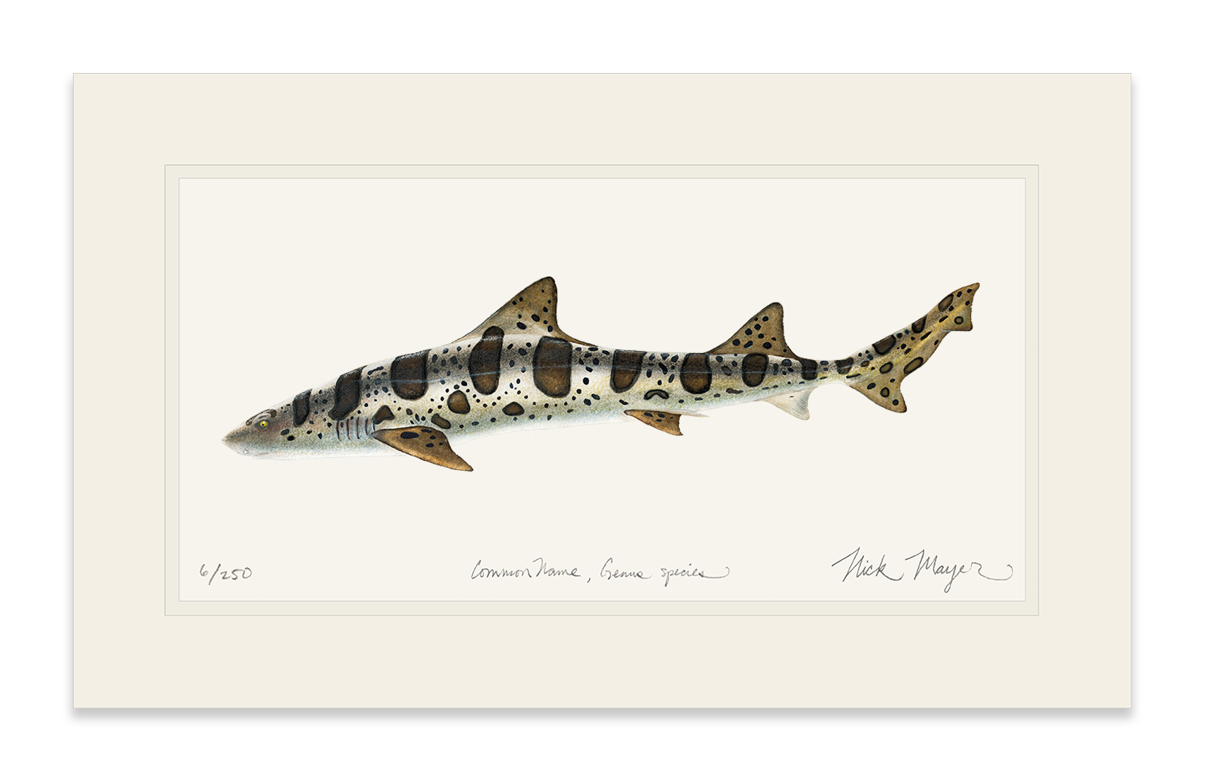 Leopard Shark Limited Edition Print