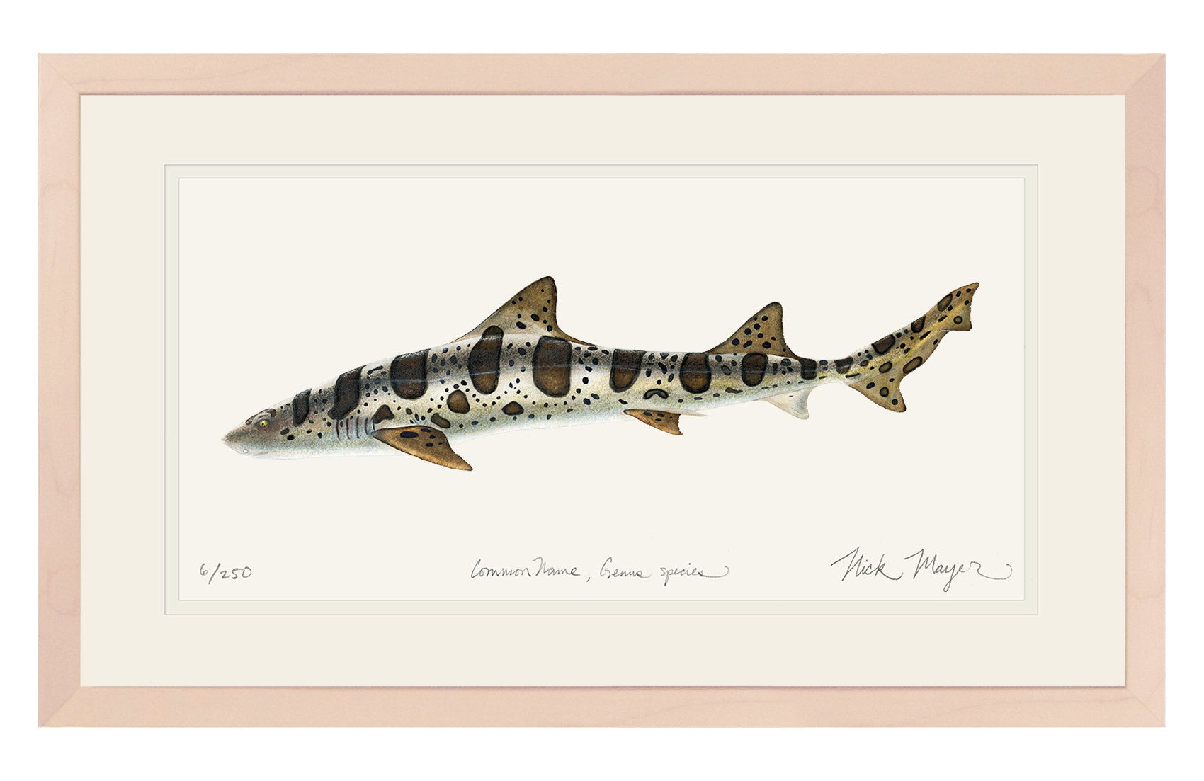 Leopard Shark Limited Edition Print