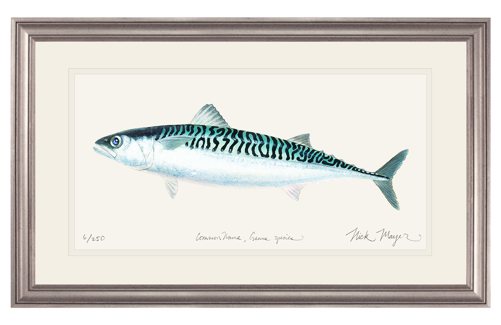 Mackerel Print