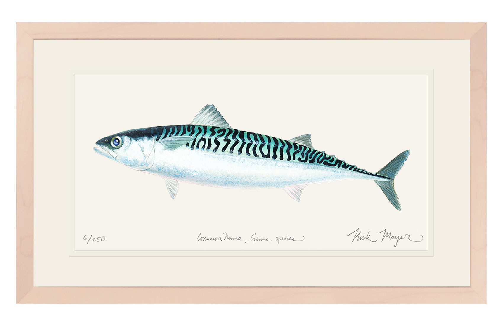 Mackerel Print