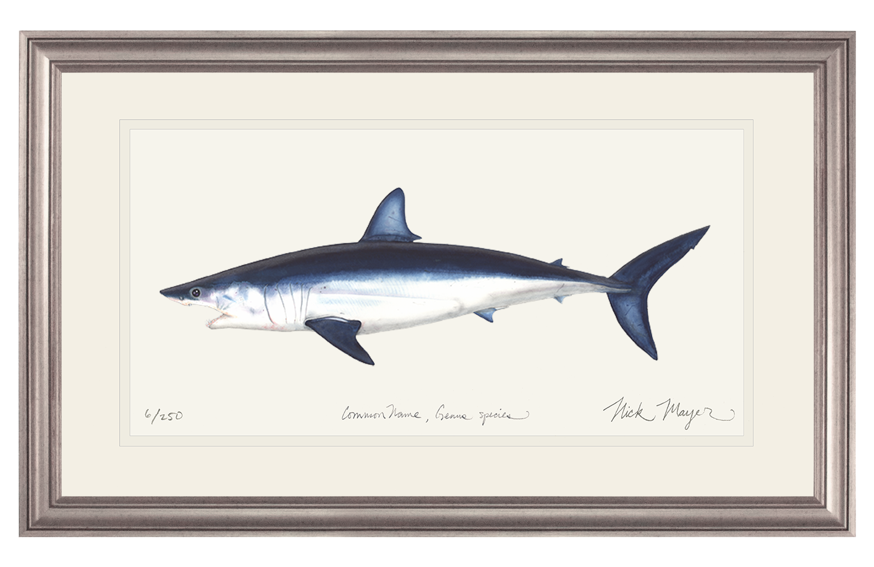 Mako Shark Limited Edition Print