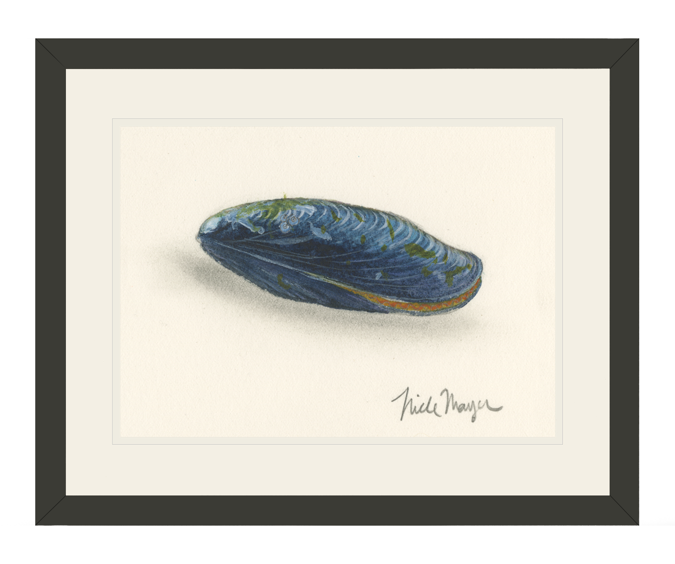 Blue Mussel Limited Edition Print