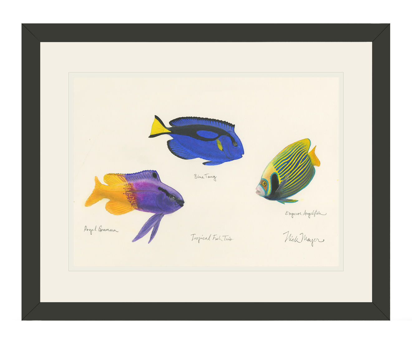 Tropical Fish Trio