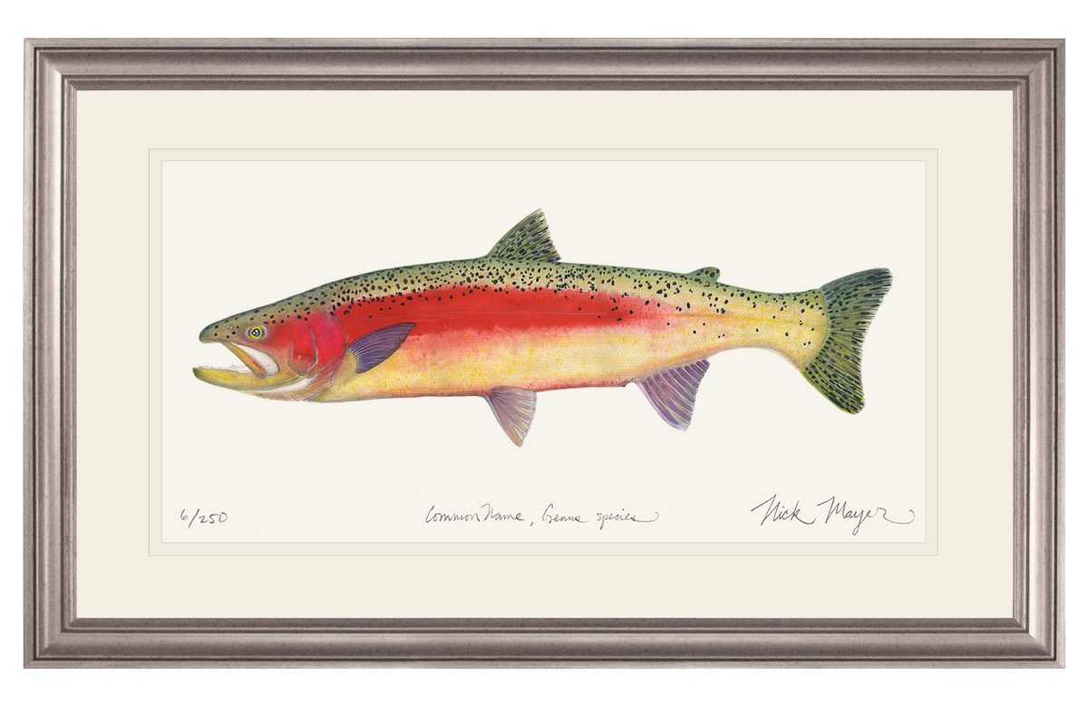 Montana Dream Hole Rainbow 2024 Trout Limited Edition Print