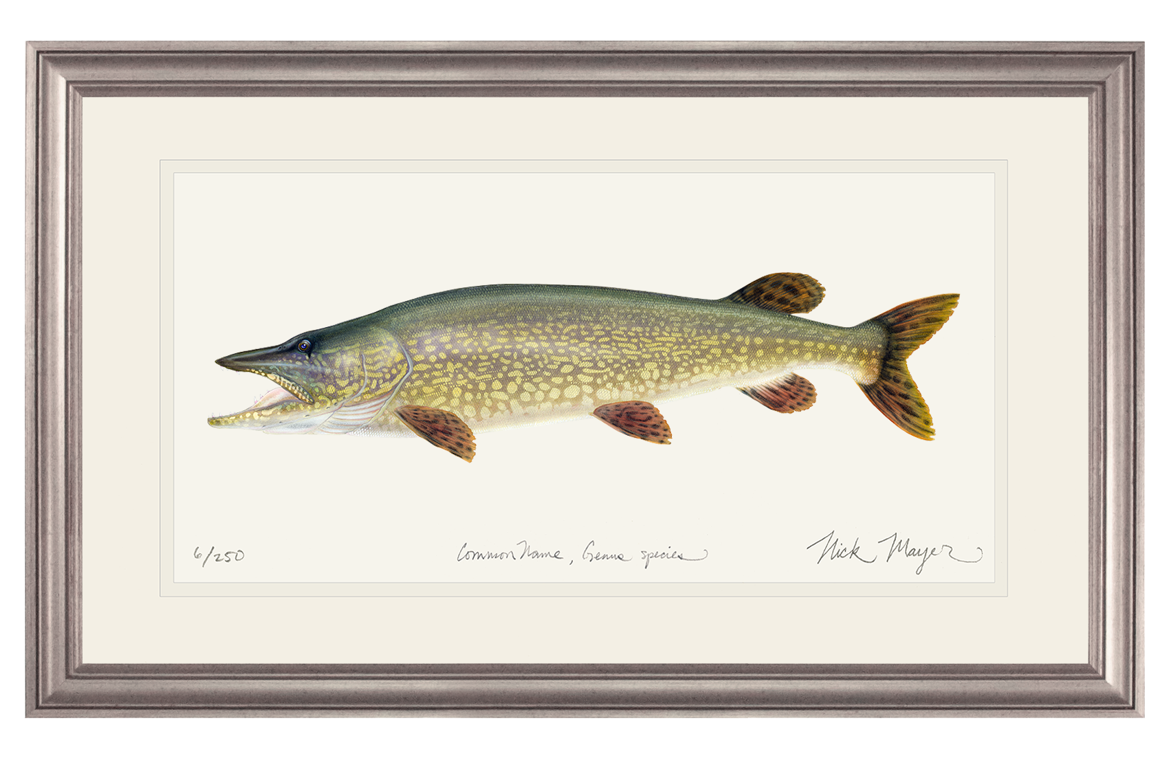 Northern Pike Original Watercolor Painting