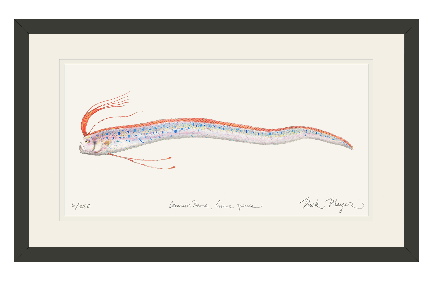 Oarfish Limited Edition Print