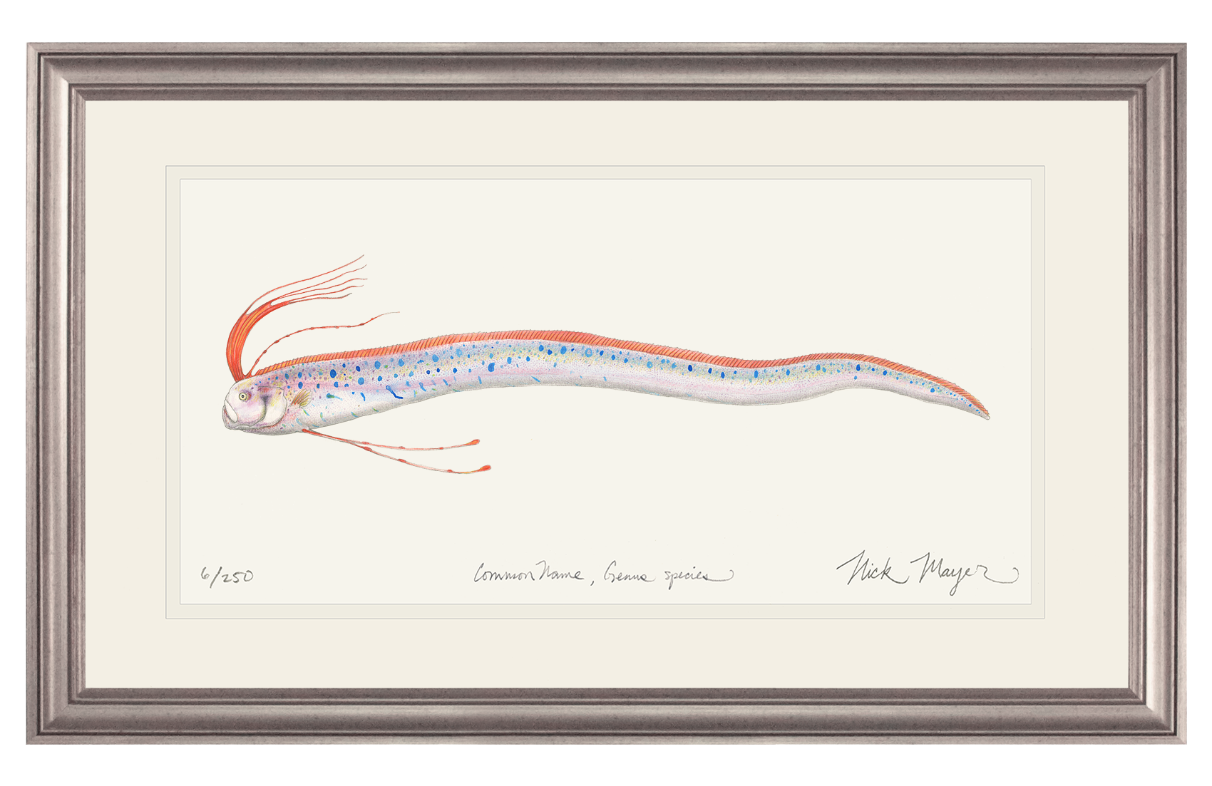 Oarfish Limited Edition Print