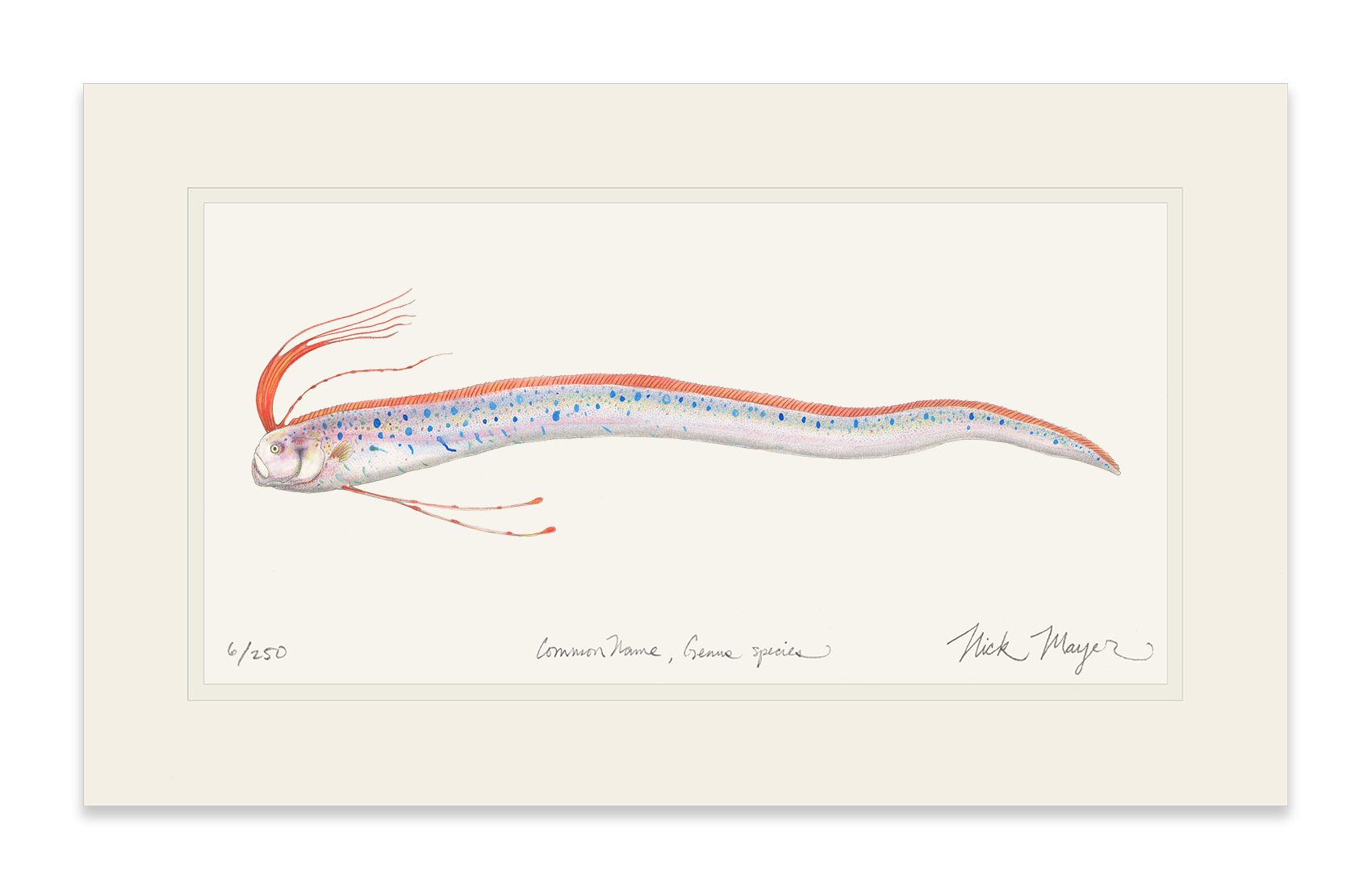 Oarfish Limited Edition Print