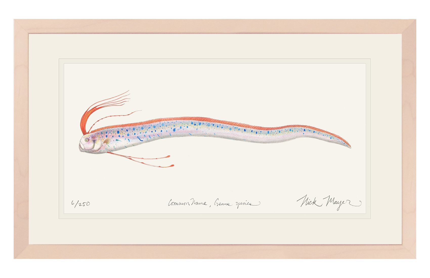 Oarfish Limited Edition Print