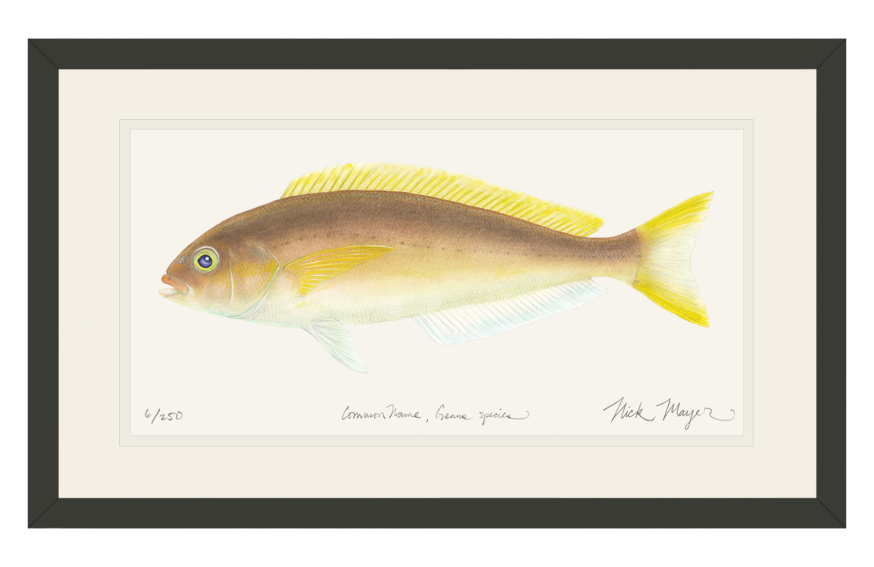 Ocean Whitefish Limited Edition Print