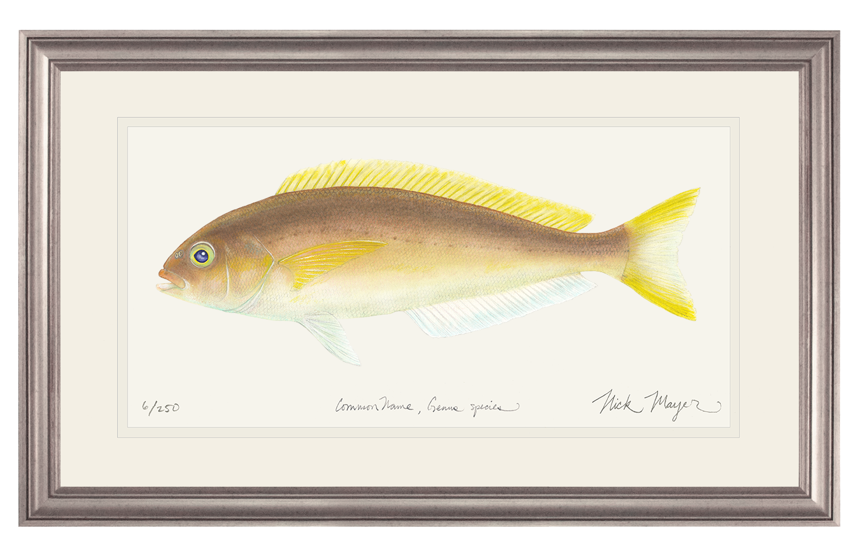 Ocean Whitefish Limited Edition Print