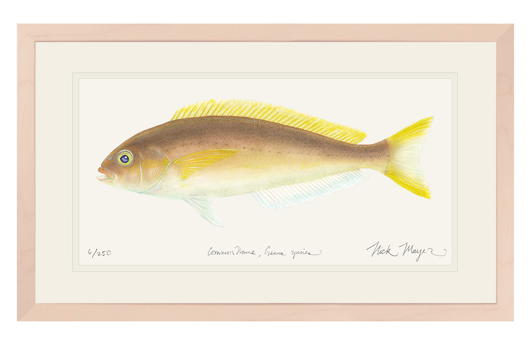 Ocean Whitefish Limited Edition Print